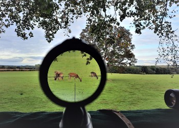 Open Season UK