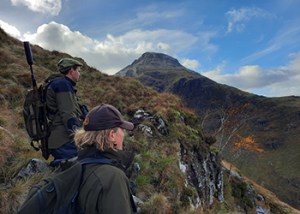 Red_Deer_Isle_of_Mull_2024