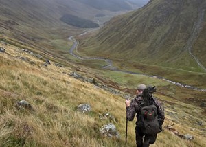 Scottish_Stags_Oct_2026