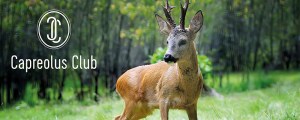 Cap_Club_Email_Header_1